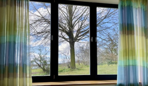 Blick aus dem Bett