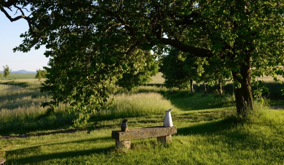 Gartenblick