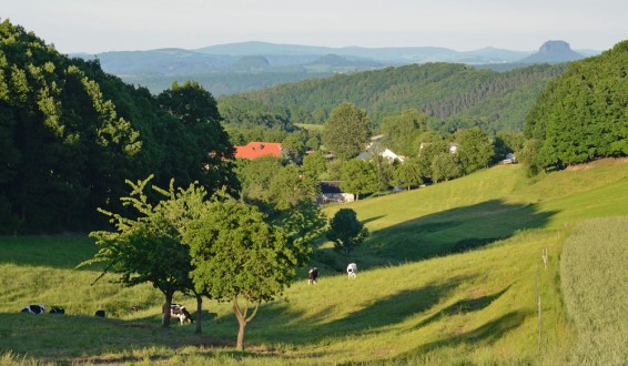 Blick in Richtung Sächsische Schweiz