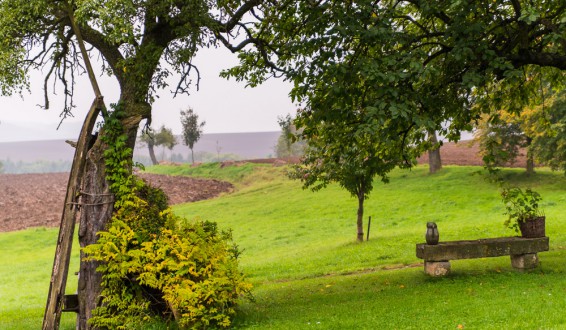 Blick vom Garten in die Landschaft