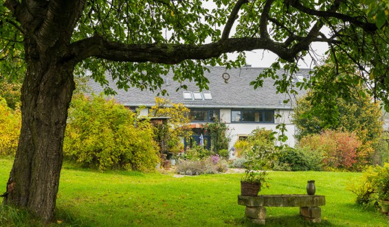 Blick durch den Garten zum Haus